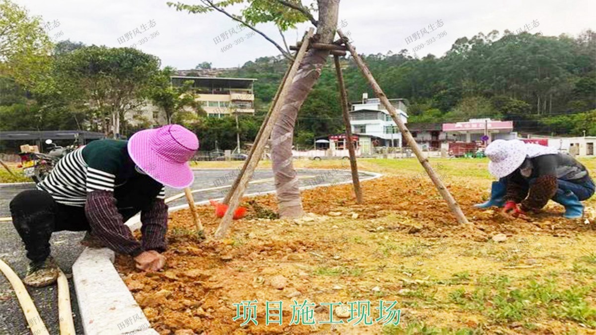 福建福州景區(qū)花海工程 福建福州景區(qū)花海工程