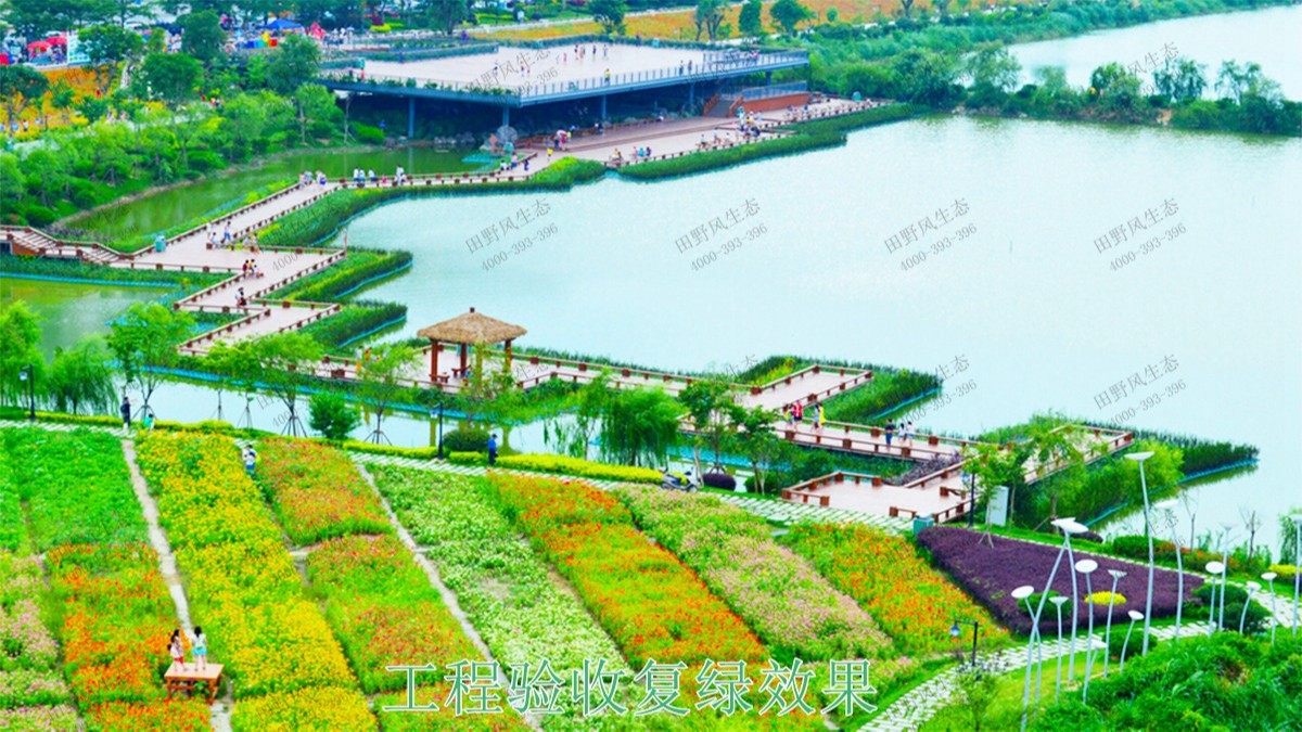 福建福州景區(qū)花海工程 福建福州景區(qū)花海工程