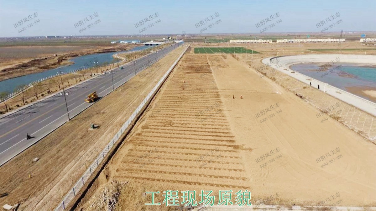 福建福州景區(qū)花海工程 福建福州景區(qū)花海工程