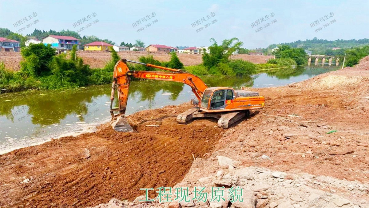 廣西蒙山縣景區(qū)花海工程 廣西蒙山縣景區(qū)花海工程