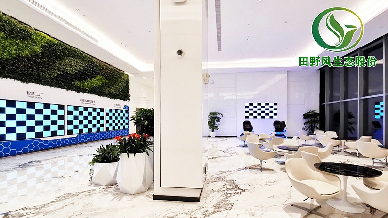 綠植租擺，綠植養(yǎng)護(hù)