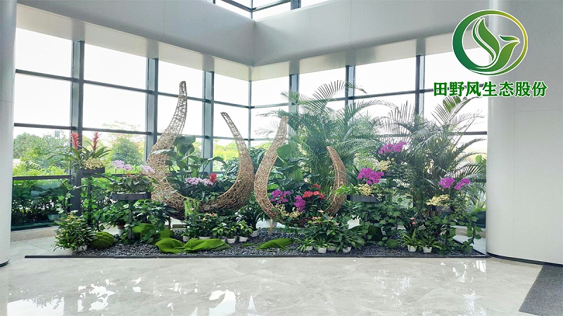 綠植租擺，綠植養(yǎng)護(hù)