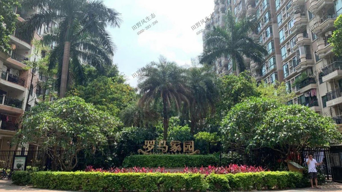廣州羅馬家園小區(qū)綠植養(yǎng)護案例 廣州羅馬家園小區(qū)綠植養(yǎng)護案例