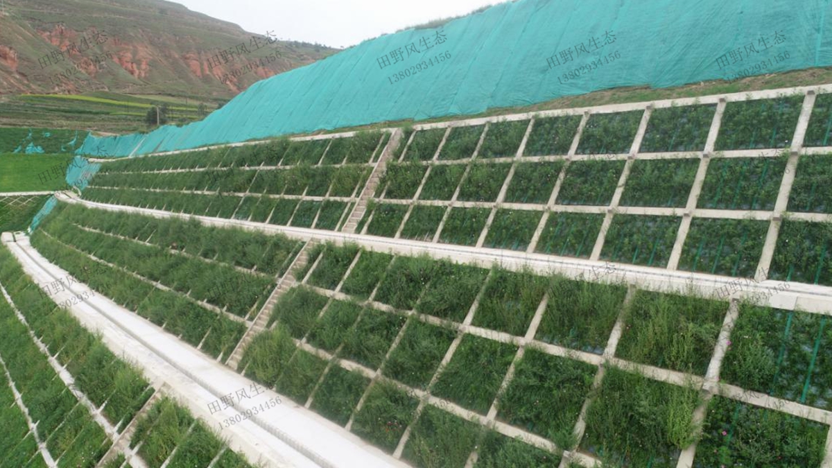 邊坡綠化工程中主要施工工藝有哪些？