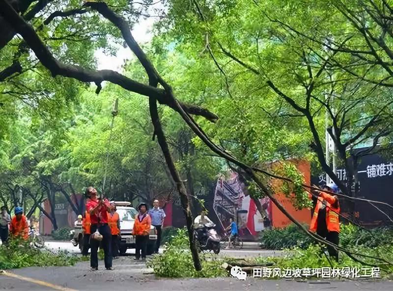 微信圖片_20200528110648