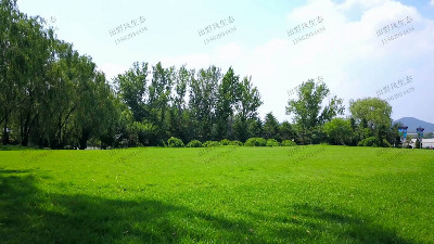 草坪養(yǎng)護(hù)管理有哪些具體工作，你知道嗎？