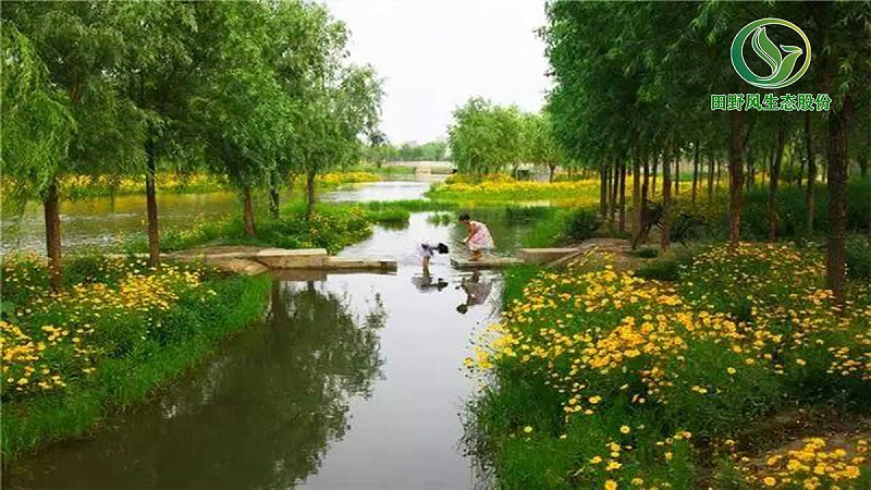 園林綠化，景觀綠化