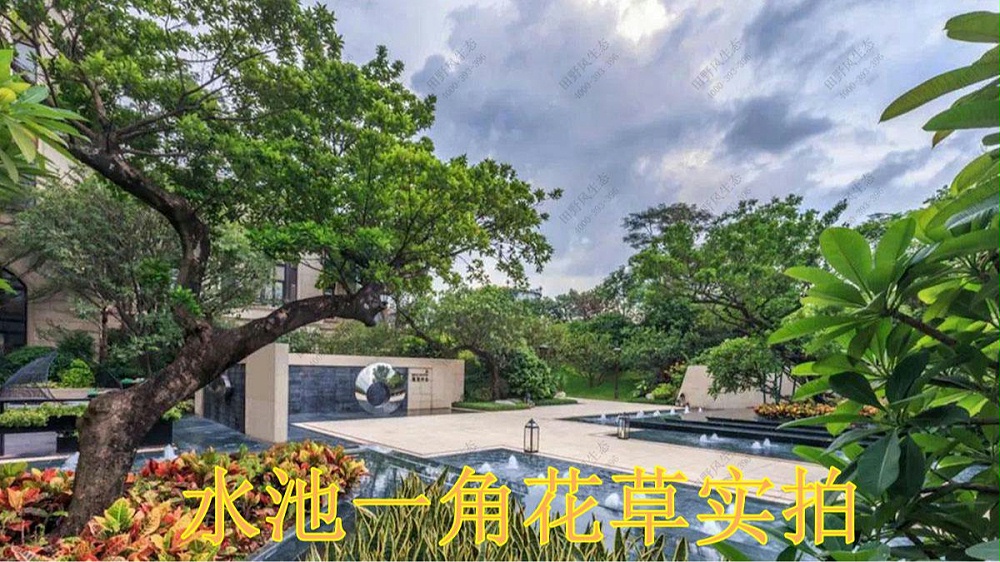 廣州華發(fā)售樓中心綠植花卉租擺案例