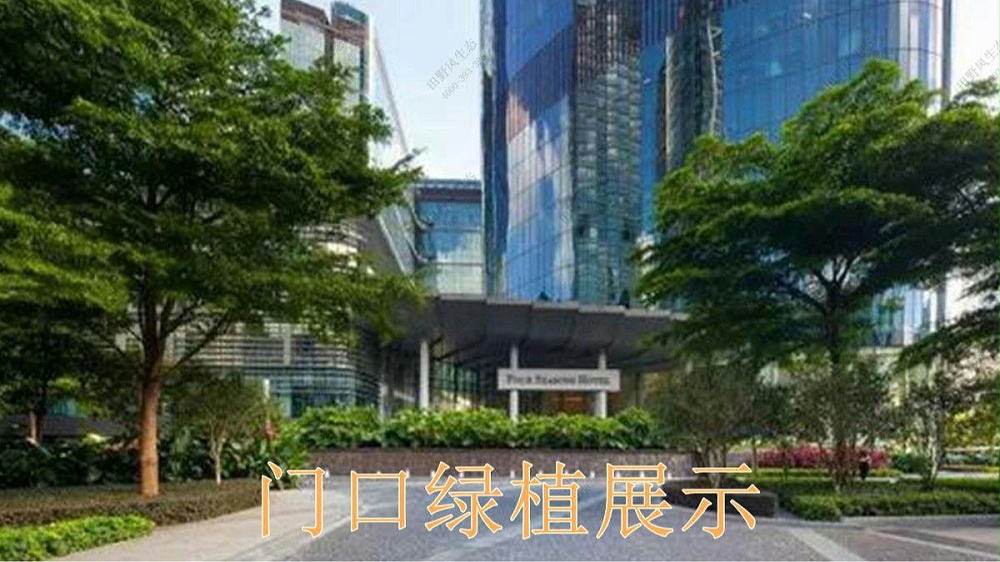 廣州國際金融中心室內(nèi)花卉租賃案例 廣州國際金融中心室內(nèi)花卉租賃案例