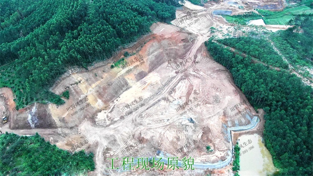 潮惠高速揭陽(yáng)段高速公路邊坡植草