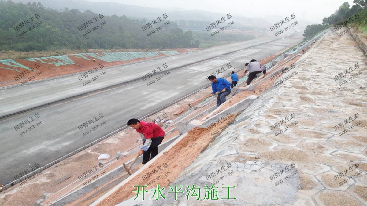 潮惠高速揭陽(yáng)段高速公路邊坡植草