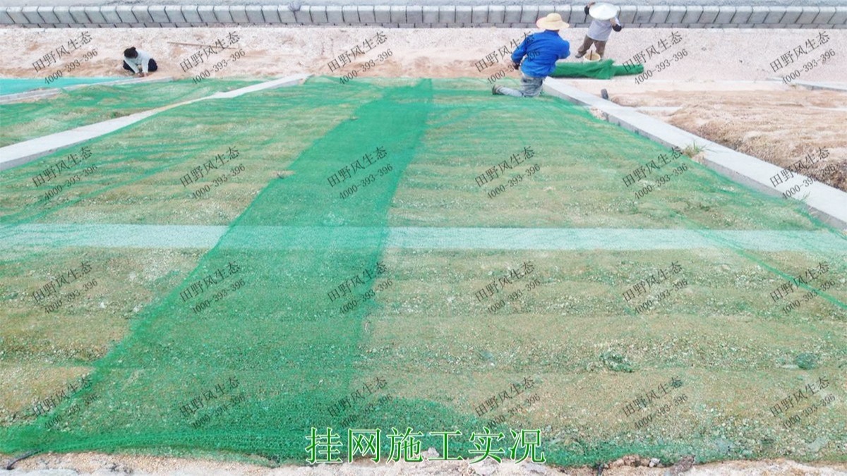 潮惠高速揭陽(yáng)段高速公路邊坡植草