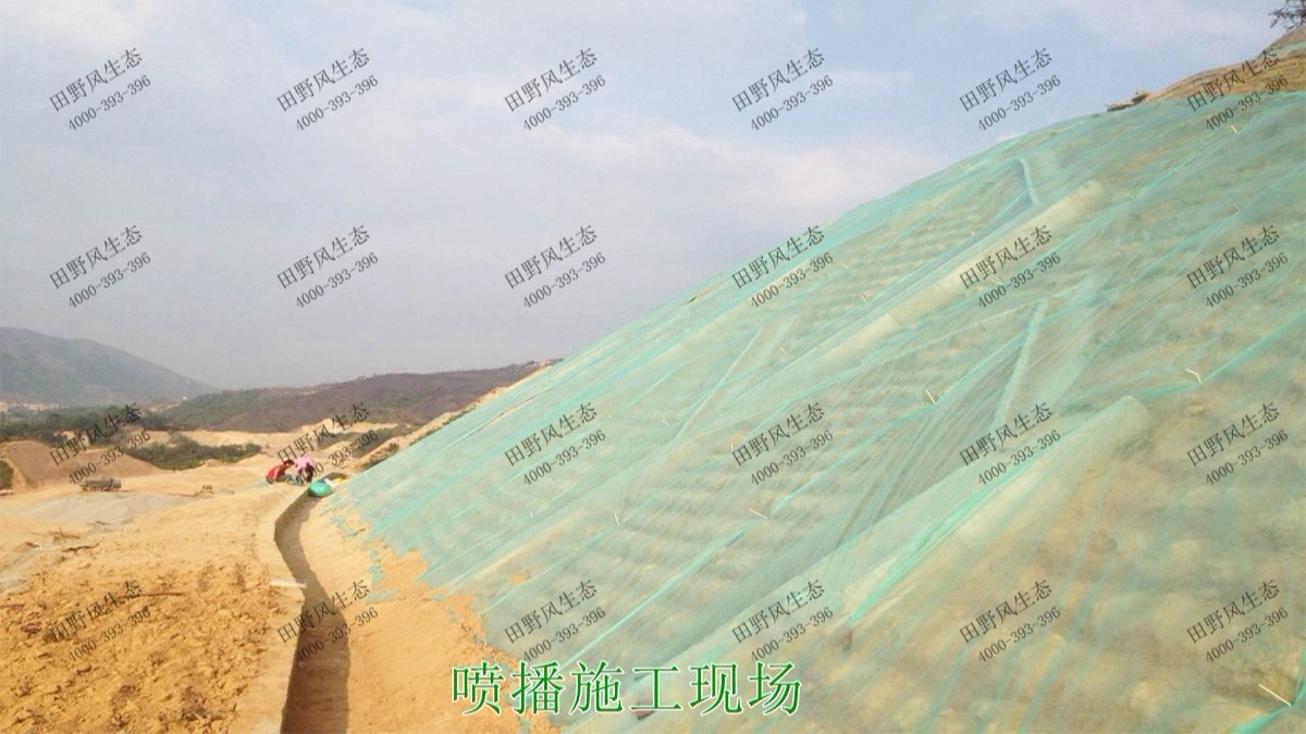 潮惠高速揭陽(yáng)段高速公路邊坡植草