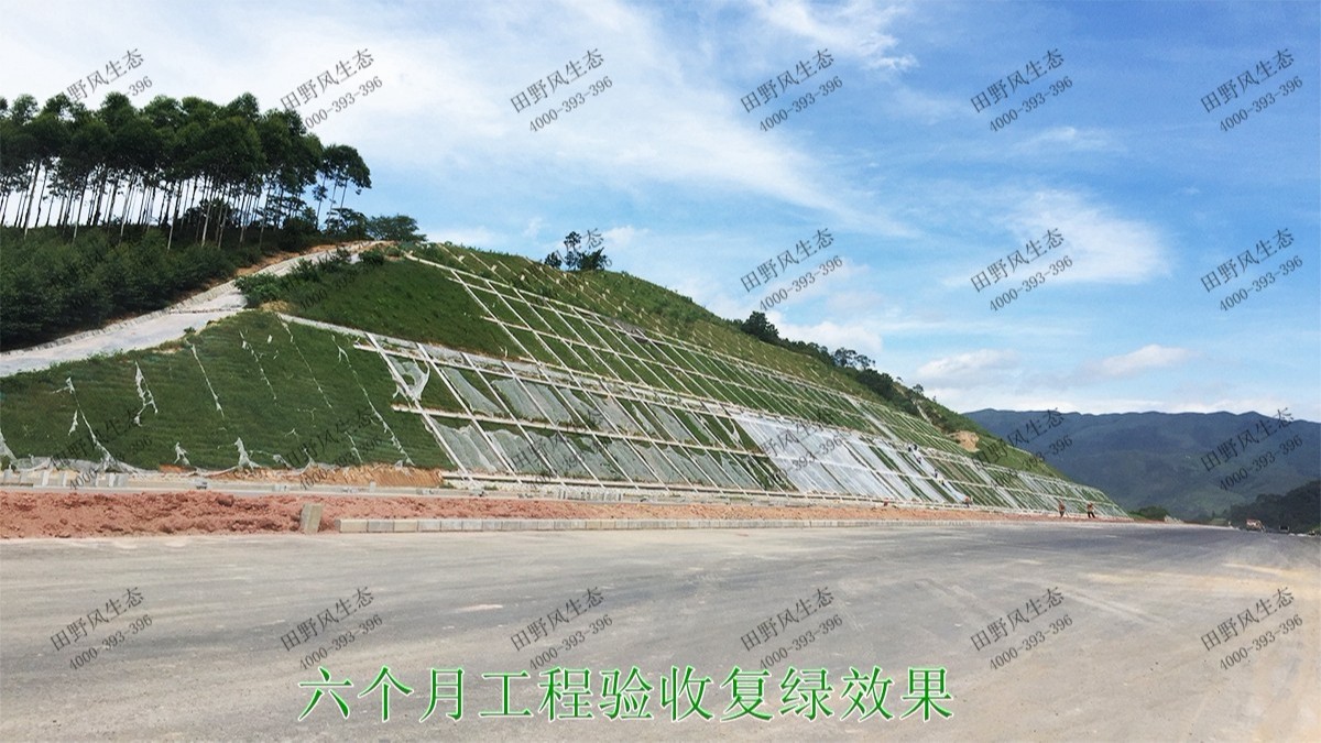 潮惠高速揭陽(yáng)段高速公路邊坡植草