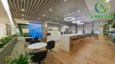 廣州辦公室盆栽花卉租擺公司哪家最可靠？