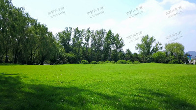 冬季草坪該如何養(yǎng)護(hù)？