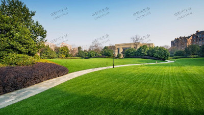 園林綠化草坪該如何養(yǎng)護(hù)管理？