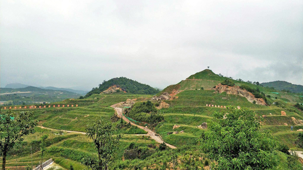 邊坡綠化工程是什么？田野風(fēng)您詳細(xì)解答