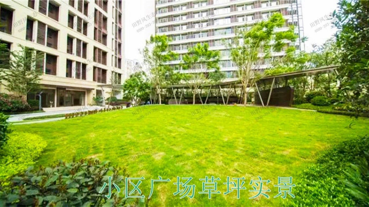 重慶龍湖地產(chǎn)園林景觀工程 重慶龍湖地產(chǎn)園林景觀工程