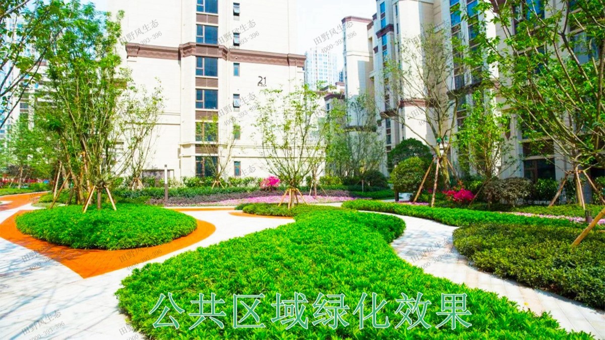 廣東湛江保利地產(chǎn)園林景觀工程 廣東湛江保利地產(chǎn)園林景觀工程