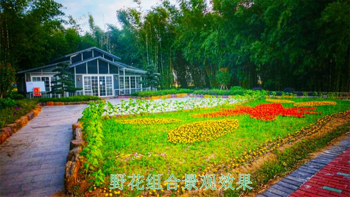 蕉嶺縣美麗鄉(xiāng)村工程項(xiàng)目 蕉嶺縣美麗鄉(xiāng)村工程項(xiàng)目