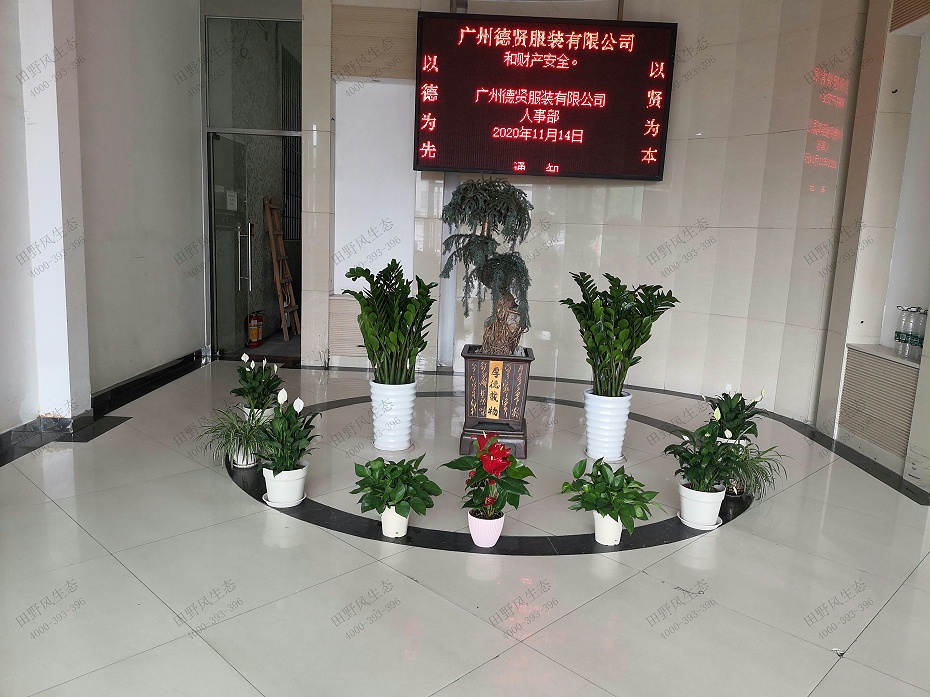 植物租賃，綠植租擺