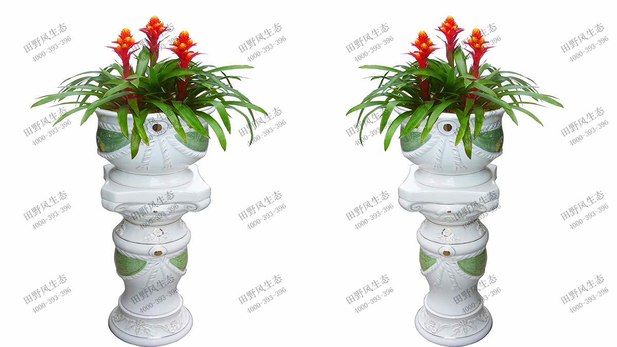 6鴻運(yùn)當(dāng)頭