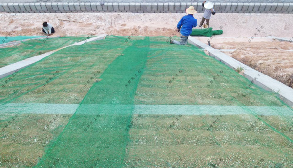 田野風(fēng)教您邊坡防護(hù)網(wǎng)的加固應(yīng)該怎么做？