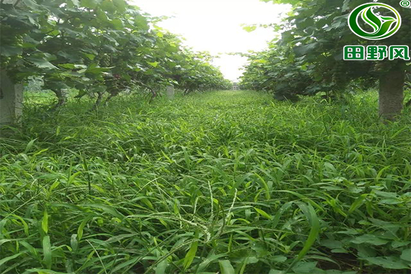 微信圖片_20200623143448 微信圖片_20200623143448