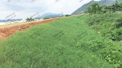 邊坡噴播植草的好處有哪些？