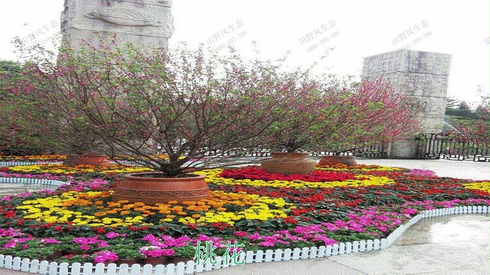 廣州花園酒店綠化綠植養(yǎng)護(hù)維護(hù) 廣州花園酒店綠化綠植養(yǎng)護(hù)維護(hù)