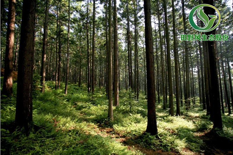 生態(tài)修復(fù)，礦山生態(tài)修復(fù)