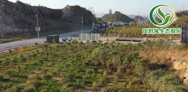 礦山生態(tài)修復(fù)，生態(tài)修復(fù)