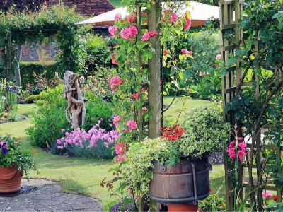 適合十一月份種植的花卉種子有哪些？