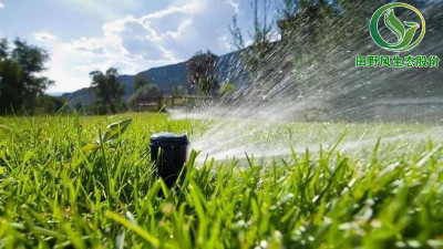 草坪養(yǎng)護(hù) | 春夏季管理草坪要點