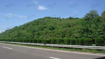 邊坡綠化有哪些常用施工工藝？