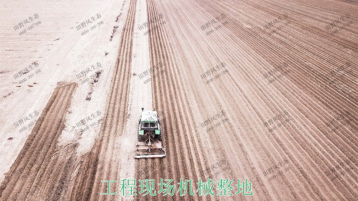 廣州番禺農(nóng)業(yè)大觀園景觀花海 廣州番禺農(nóng)業(yè)大觀園景觀花海