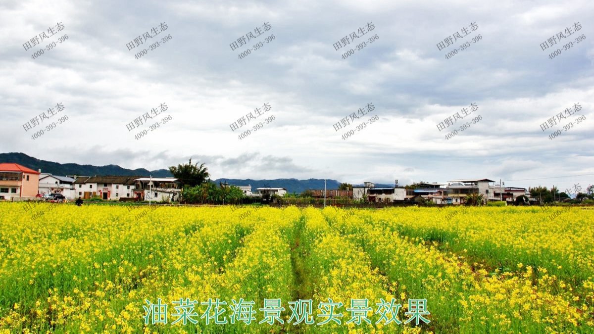 廣東梅州美麗鄉(xiāng)村工程 廣東梅州美麗鄉(xiāng)村工程