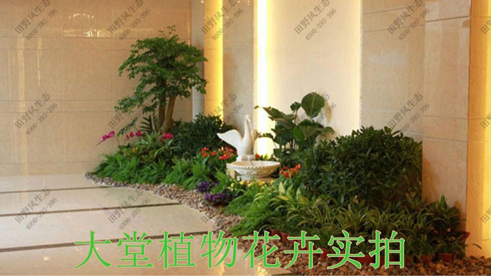 廣州珠光御景壹號(hào)綠植租賃案例 廣州珠光御景壹號(hào)綠植租賃案例
