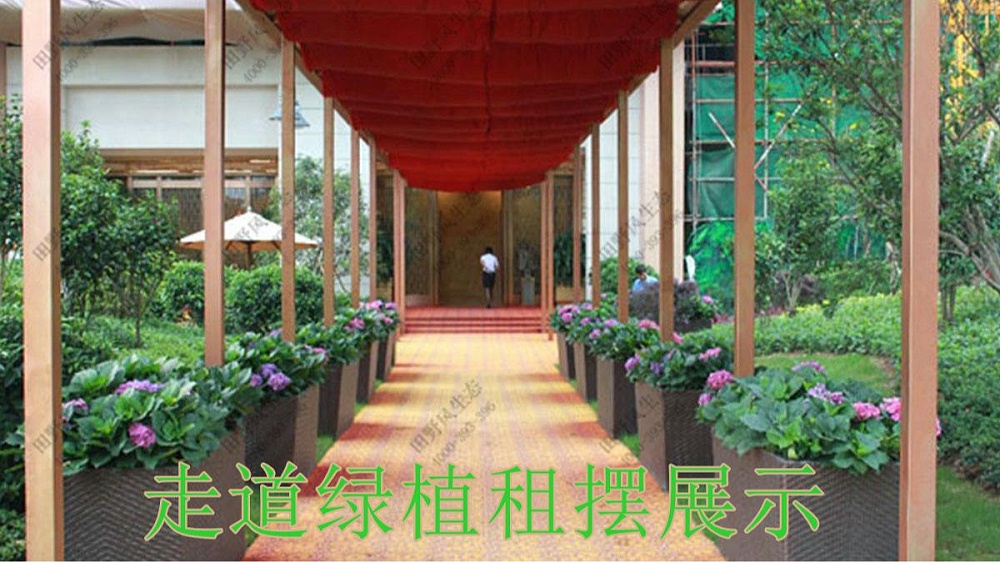 廣州珠光御景壹號(hào)綠植租賃案例 廣州珠光御景壹號(hào)綠植租賃案例