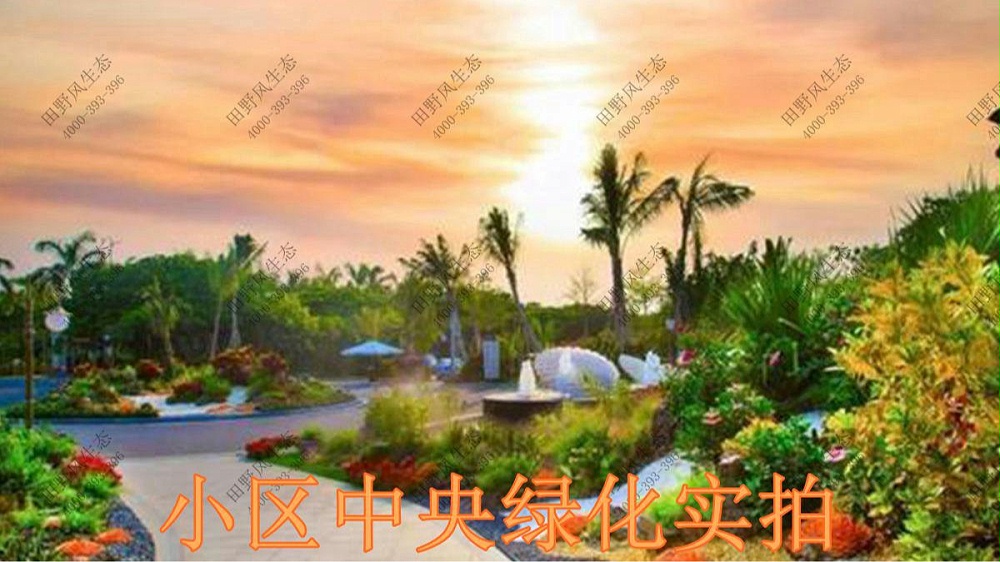 廣東碧桂園植物養(yǎng)護(hù)案例 廣東碧桂園植物養(yǎng)護(hù)案例