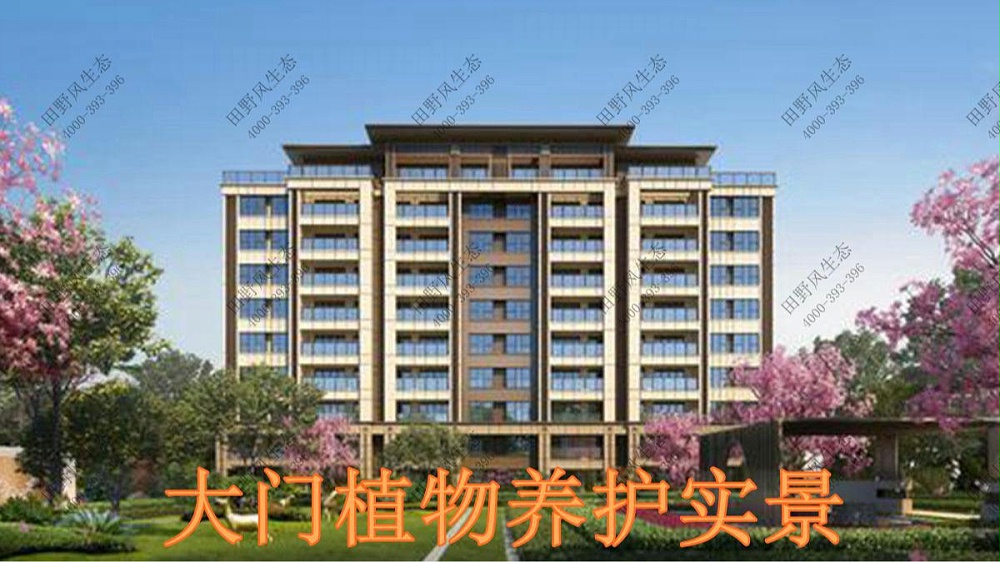 廣東奧園草坪養(yǎng)護(hù)案例 廣東奧園草坪養(yǎng)護(hù)案例