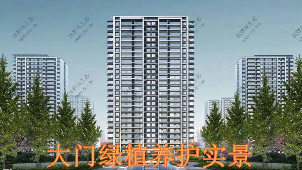 廣東萬科城綠植養(yǎng)護(hù)案例 廣東萬科城綠植養(yǎng)護(hù)案例