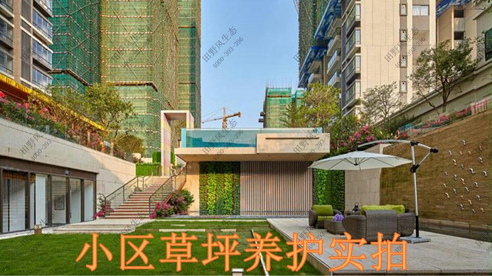 廣東奧園草坪養(yǎng)護(hù)案例 廣東奧園草坪養(yǎng)護(hù)案例