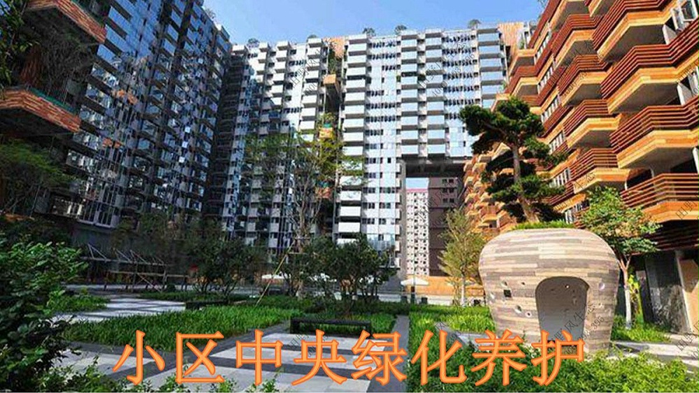 廣東萬科城綠植養(yǎng)護(hù)案例 廣東萬科城綠植養(yǎng)護(hù)案例