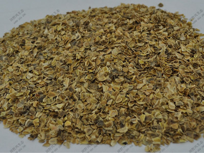 花環(huán)菊混播花海花種子產(chǎn)品介紹