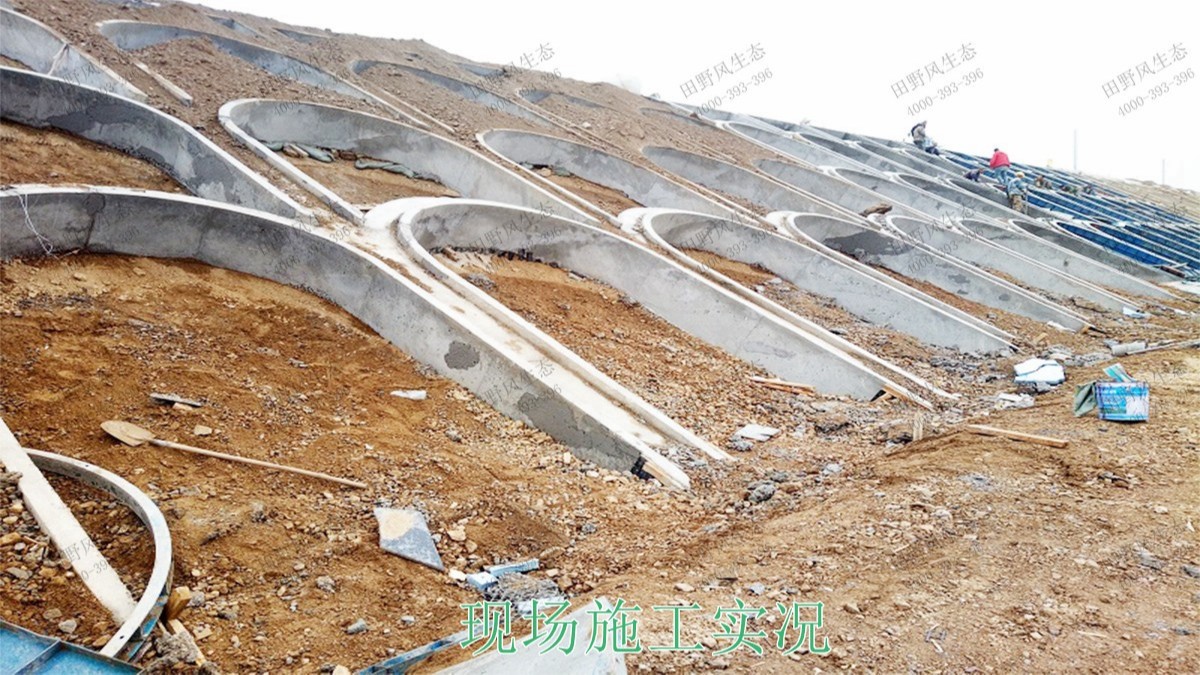 河源江東工業(yè)園邊坡復(fù)綠工程 河源江東工業(yè)園邊坡復(fù)綠工程