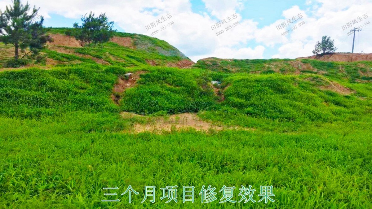 河源江東工業(yè)園邊坡復(fù)綠工程 河源江東工業(yè)園邊坡復(fù)綠工程