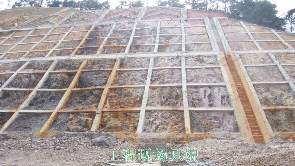 連平縣工業(yè)園區(qū)邊坡綠化 連平縣工業(yè)園區(qū)邊坡綠化