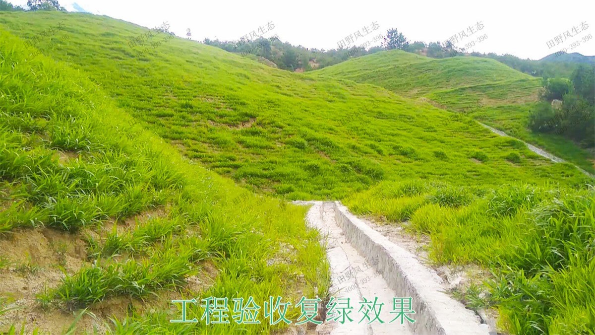 新豐縣工業(yè)園區(qū)復(fù)綠工程 新豐縣工業(yè)園區(qū)復(fù)綠工程